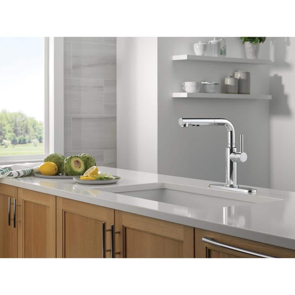 Daneri Chrome Pull-Out Sprayer Kitchen Faucet with Lever Handle