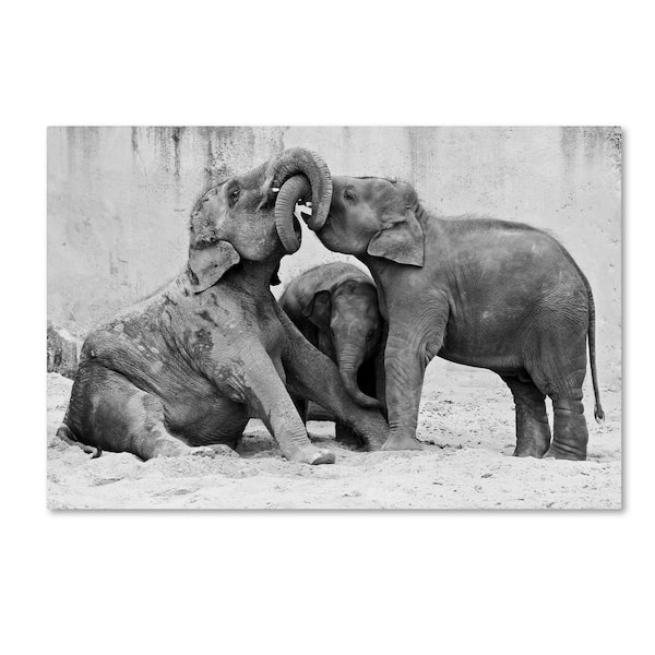 Trademark Fine Art 22 in. x 32 in. MaNage A Trois by Antje Wenner Braun Floater Frame Animal Wall Art