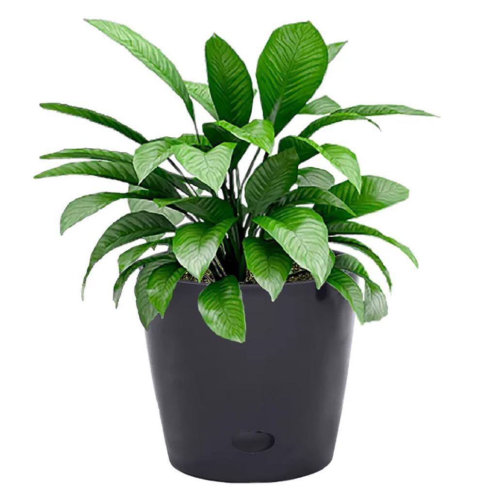 Bamboo-Blooms 7 In. X 6.3 In. X 5.25 In. Round Black Self-Watering ...