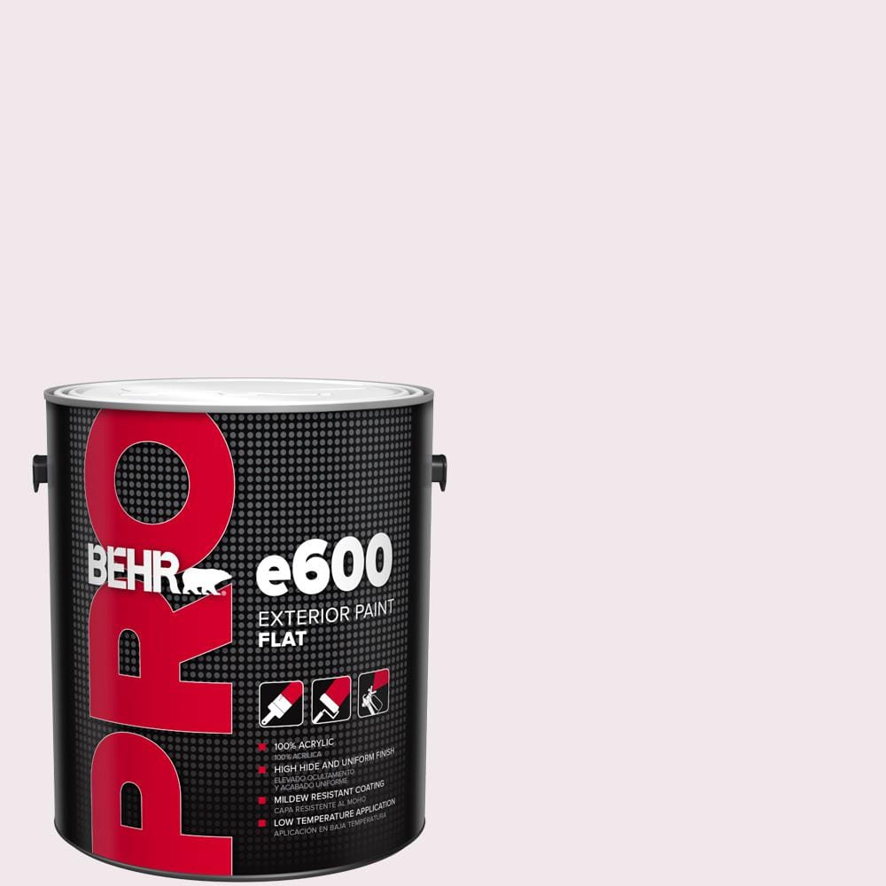 1 gal. #650A-1 Rose Fantasy Flat Paint price history on PriceWatchPro