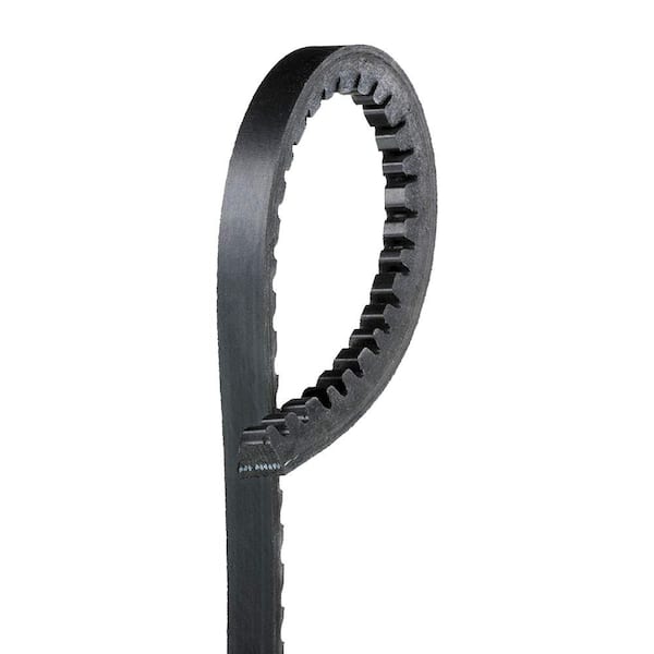 Standard Accessory Drive Belt - Water Pump and Alternator
