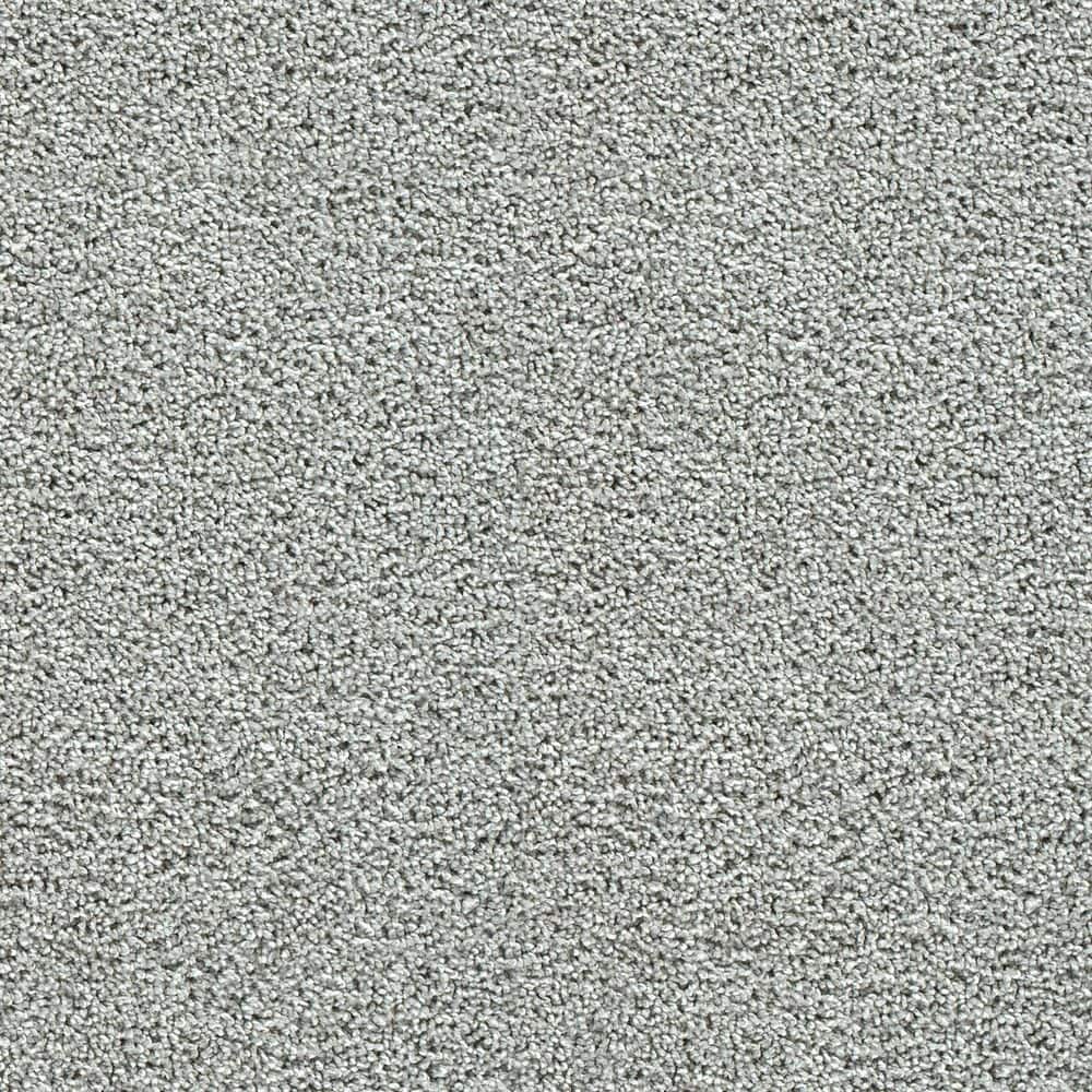 8 in. x 8 in. Texture Carpet Sample-Easel-Color Blank Canvas price history on PriceWatchPro