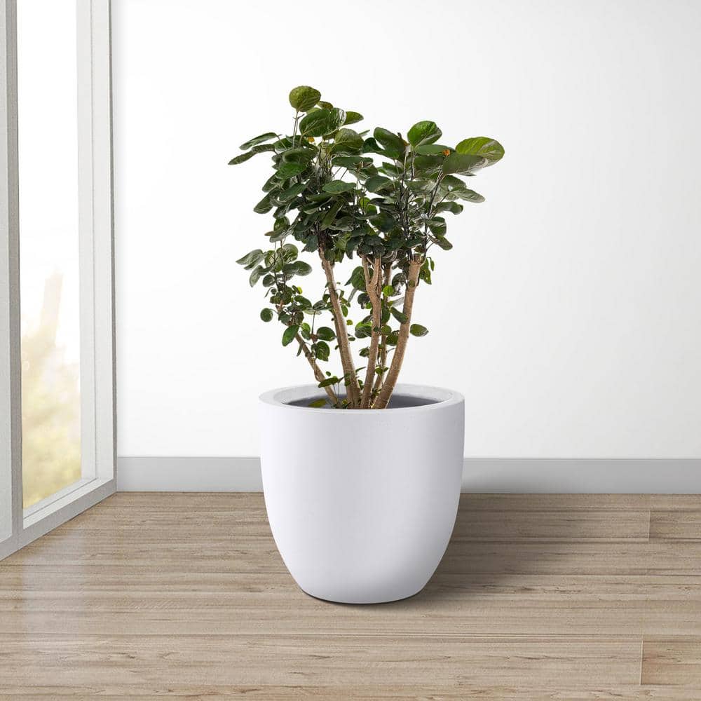 14 Inch White Concrete Round Indoor/Outdoor Planter
