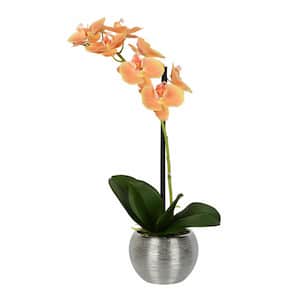 18 in. Peach Artificial Phalaenopsis Orchid Floral Arrangement In Metal Pot