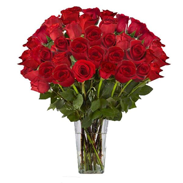 The Ultimate Bouquet Gorgeous Red Rose Bouquet in Clear Vase (36 Stem) Overnight Shipping Included