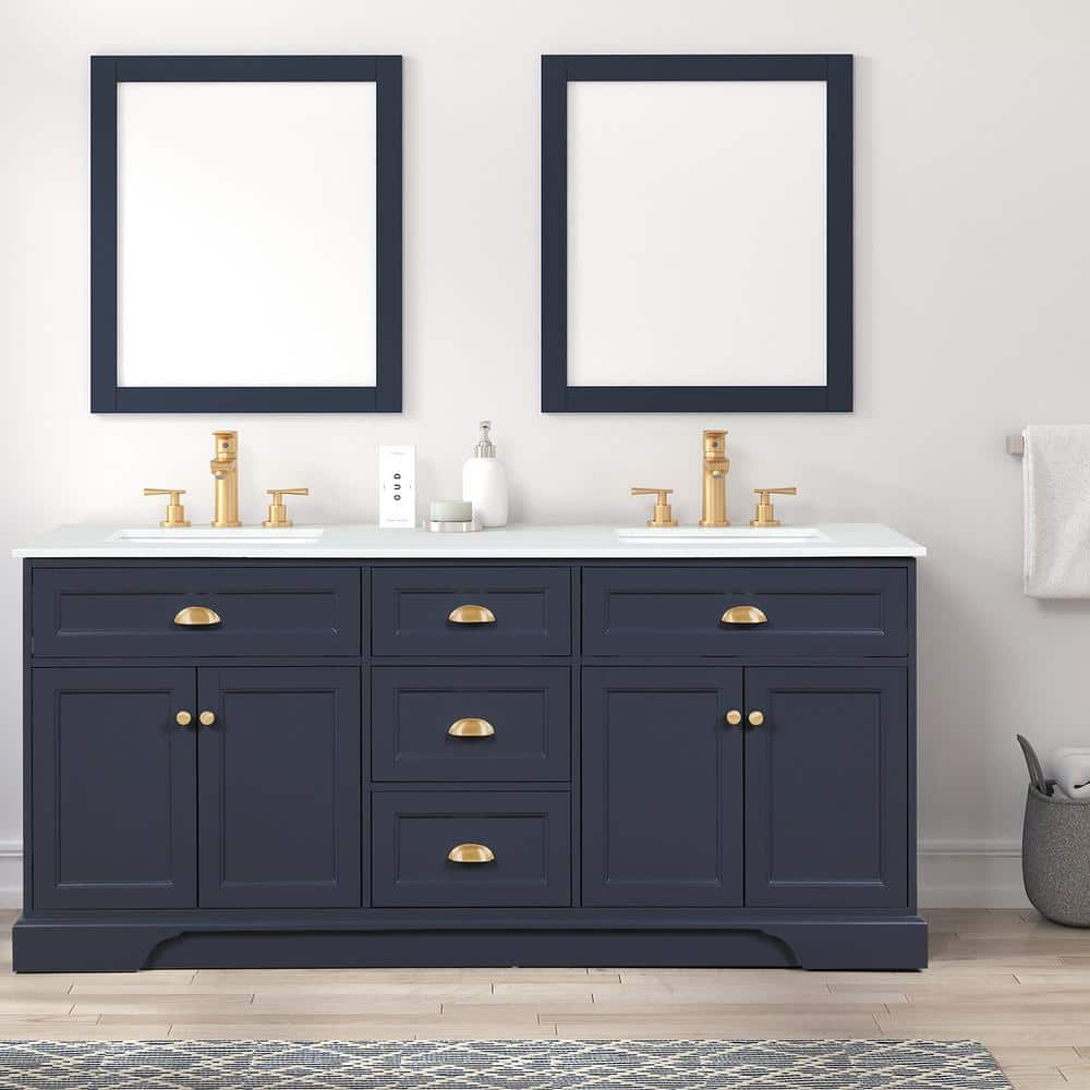Eviva Epic 72 in. W x 22 in. D x 34 in. H Double Bathroom Vanity in ...