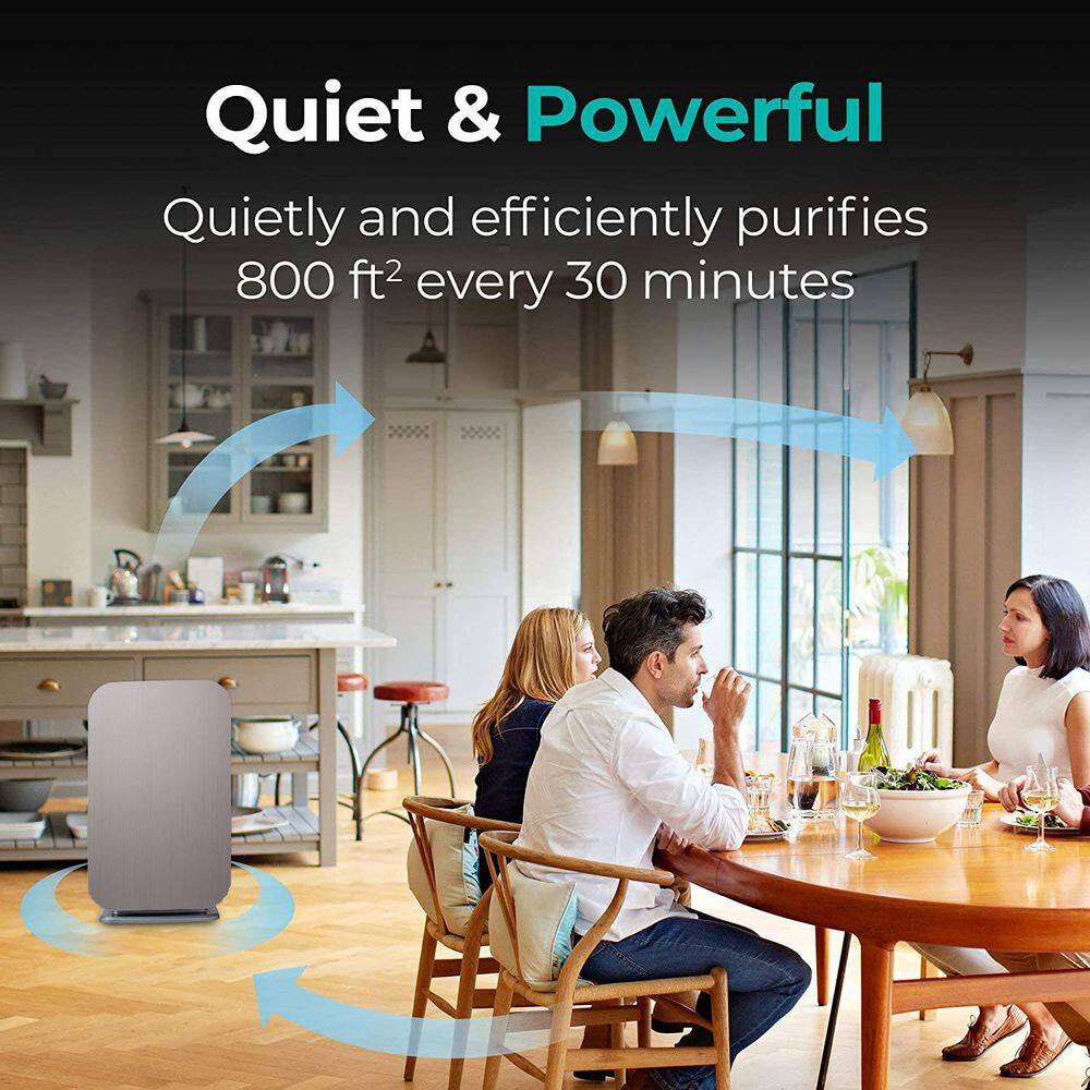 Brushed Stainless 800 SqFt HEPA Air Purifier with Wi-Fi