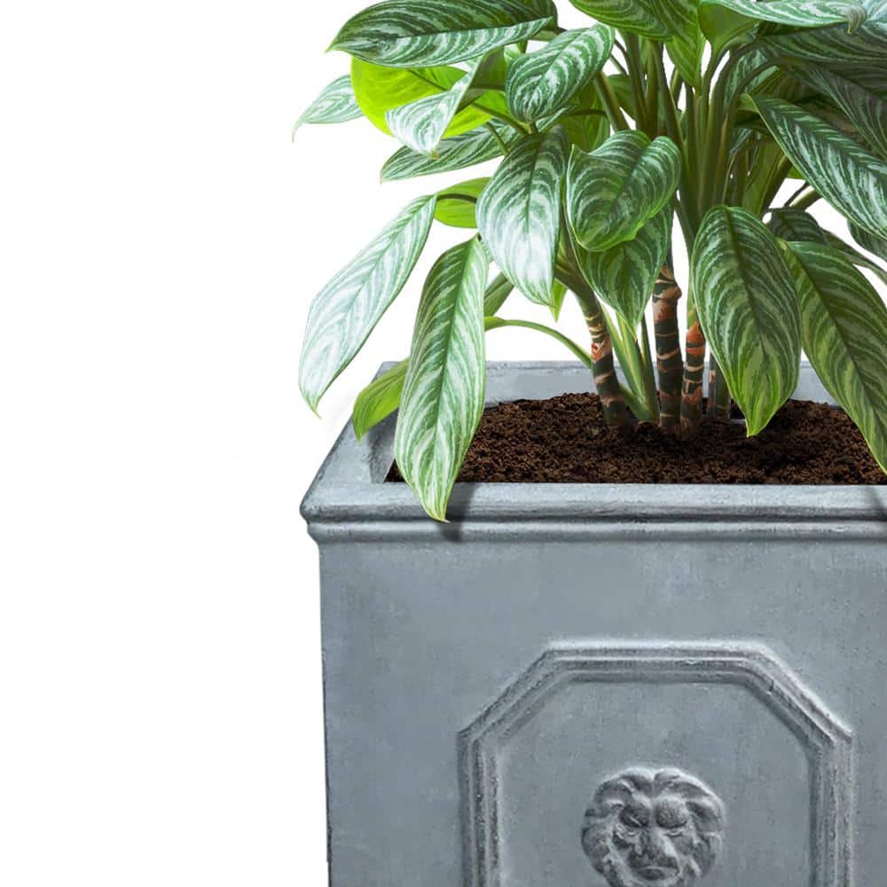 Antique Gray Concrete Lion Head Square Planter Set