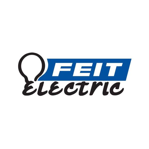 Feit Electric 100 Watt Equivalent G40 Dimmable Led Clear Glass Vintage Edison Light Bulb With Cage Filament Soft White 2 Pack G 927ca Fil 2 The Home Depot