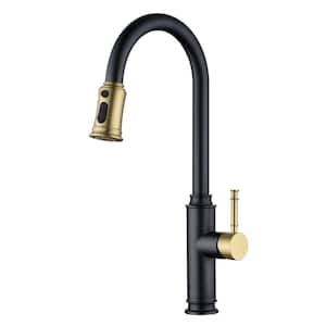 Single Handle Pull Down Sprayer Kitchen Faucet with Pull Out Spray Wand in Black & Gold