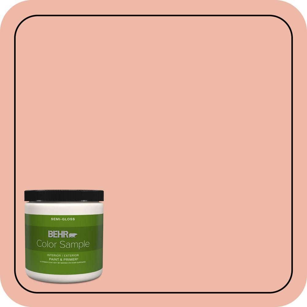 8 oz. #210C-3 Jovial Semi-Gloss Interior/Exterior Paint & Primer Color Sample price history on PriceWatchPro