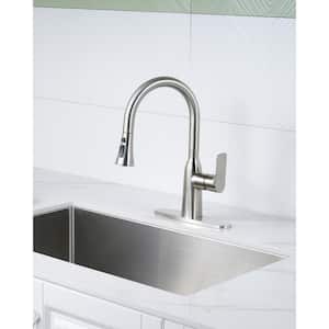 Single Handle Pull Down Sprayer Kitchen Faucet with Deck Plate Double Spout Stainless Steel in Brushed Nickel