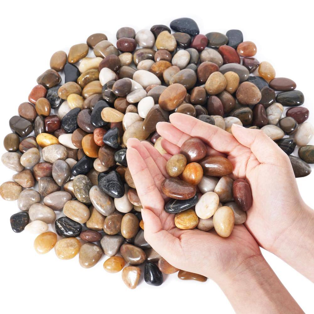 0.1 cu. ft Bagged Black River Rocks Polished Pebbles price history on PriceWatchPro