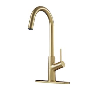 Single-Handle Pull Down Sprayer Kitchen Faucet with 3-Function Pull Out Sprayer, Stainless Steel in Brushed Gold