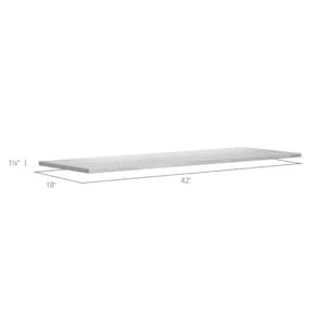 Pro Series 3.0 42 in. W x 1.25 in. H x 24 in. D Stainless Steel Worktop