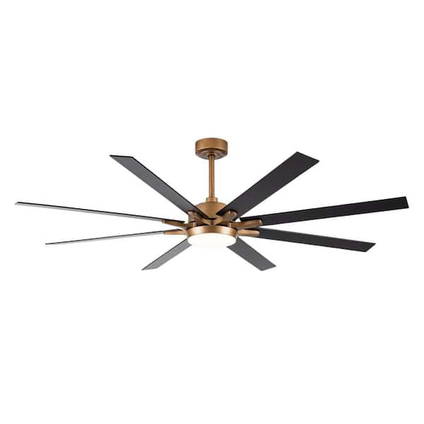 SkyFan Procyon 65 in. 8-Blade Color Changing LED Gold Plug & Play Ceiling Fan