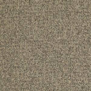 Burana - Color Fortune Cookie Indoor/Outdoor Berber Brown Carpet