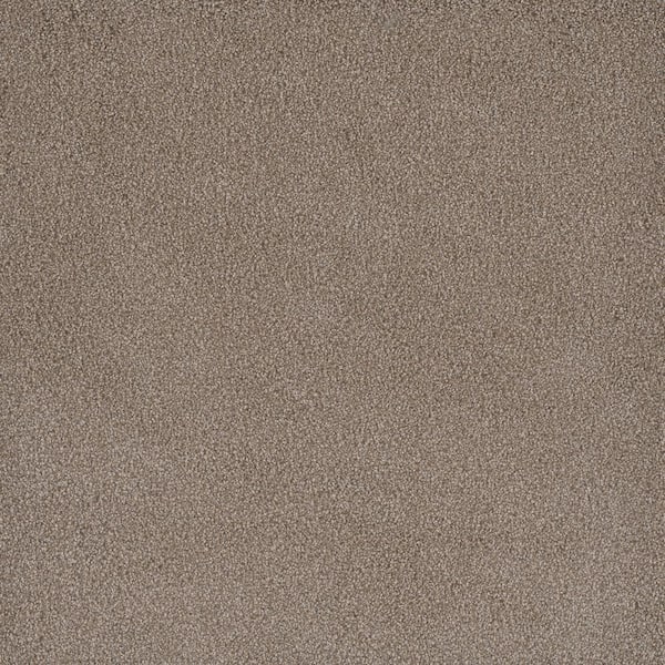 First Class II - Newbury - Beige 50 oz. SD Polyester Texture Installed Carpet