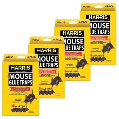 Mouse Glue Traps (4-Pack)