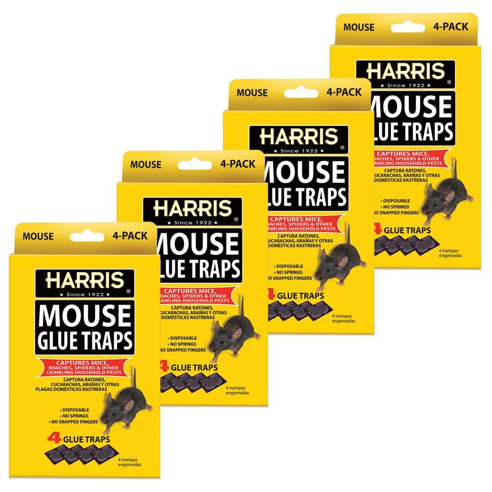 Harris Reusable Plastic Mouse Trap (24-Pack)