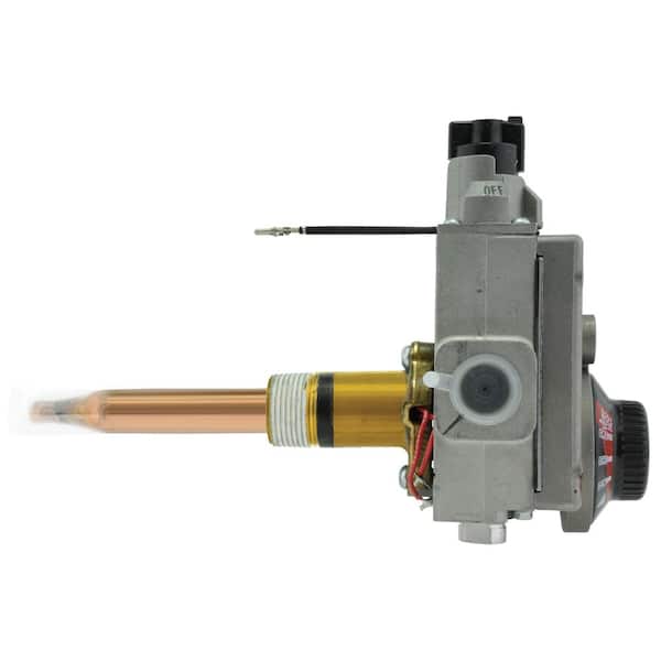 Rheem PROTECH Gas Control Thermostat - Natural Gas SP14270F - The Home Depot