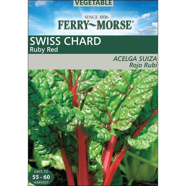Ferry-Morse Swiss Chard Ruby Red Seed