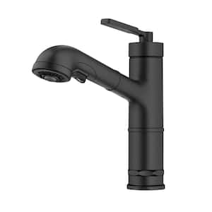 Allyn Pull-Out Single Handle Kitchen Faucet in Matte Black