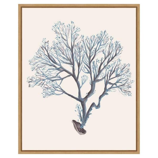 Amanti Art Indigo Reef III by Melissa Wang 23 in. W x 28 in. H. Canvas Wall Art Print Framed in Brown