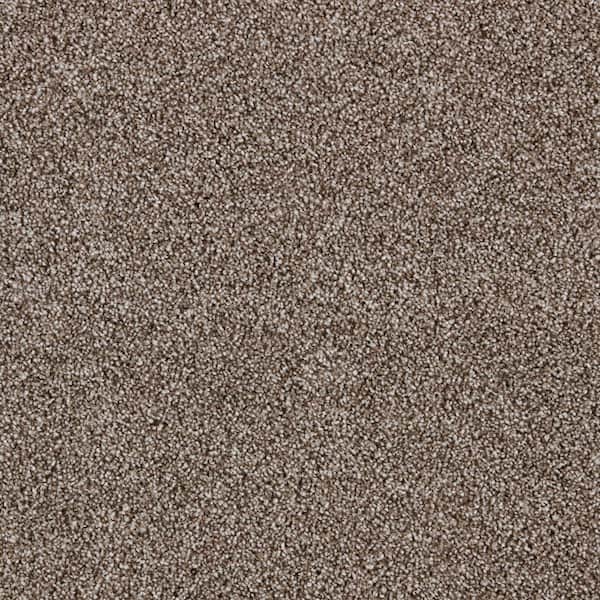 Playful Moments II Lullaby Brown 49 oz Triexta/PET Texture Installed Carpet