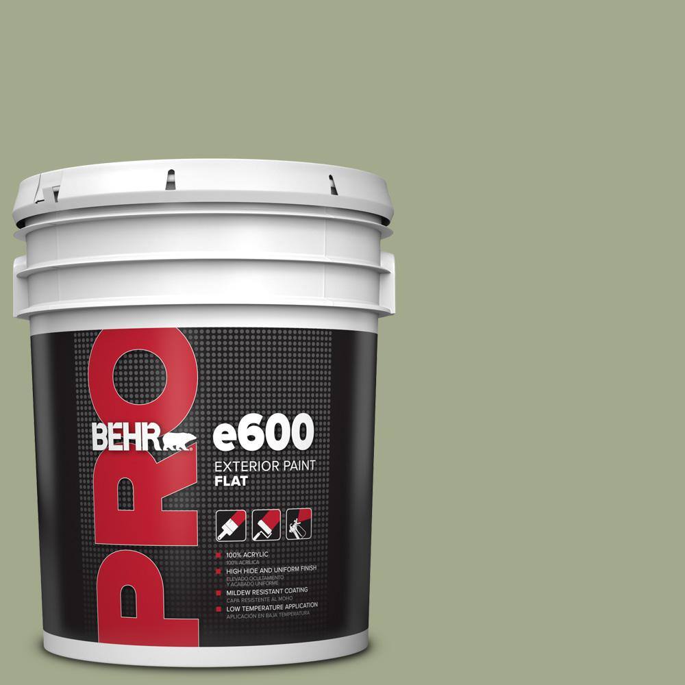 5 gal. #420F-4 Sagey Flat Exterior Paint price history on PriceWatchPro