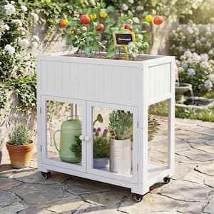 35.4 in. W x 17.7 in. D x 37.4 in. H Mini Wood Cold Frame