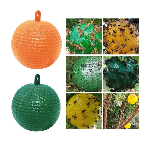 Sticky Traps Balls, Houseplant Sticky Bug Traps Capturing Fruit Flies,  Mosquitoes Other Flying Insects, Cute Ball Design, Sticky Fruit Fly Traps  For Indoor/outdoor/fields And Gardens - Temu