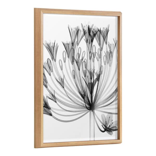 Kate and Laurel Blake Bell Agapanthus X Ray Floral BW by the Creative Bunch Studio Framed Glass Art Print 18 in. x 24 in.