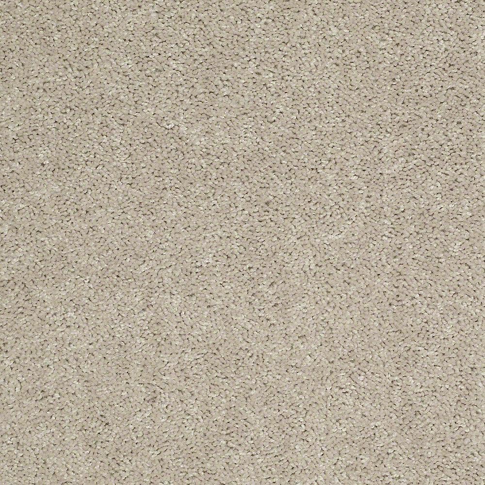 8 in. x 8 in. Texture Carpet Sample - Alpine - Color Peace price history on PriceWatchPro