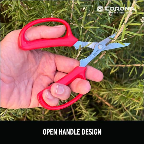 Corona 2 in. Stainless Steel Blade with Lightweight Red