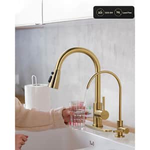 Single Handle Pull Down Sprayer Kitchen Faucet with Water Filter Faucet in Gold