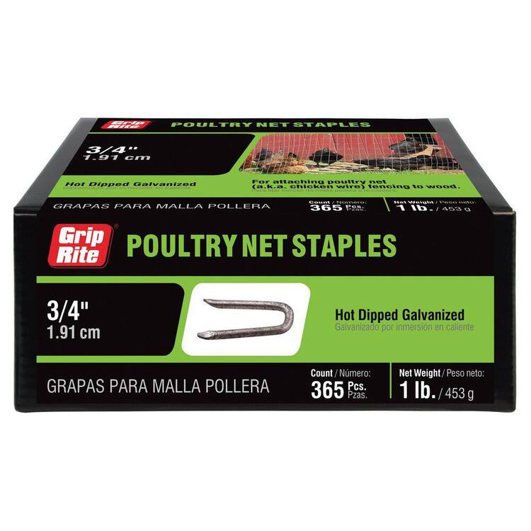 Grip-Rite 3/4 in. x 1/4 in. 9-Gauge Hot Dipped Galvanized Smooth Shank Poultry Net Staples 1 lb. Box