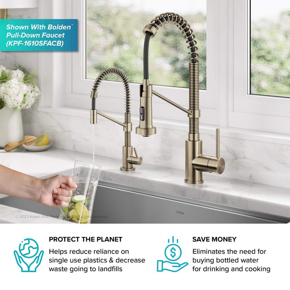 Bolden Antique Bronze Single Handle Filter Faucet with Pull-out Spray