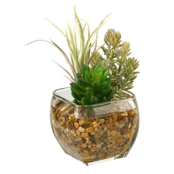 6 in. Indoor Flocked Burro Tail and Succulent Artificial Plant in Glass Cube-Compact Modern Faux Greenery Decor