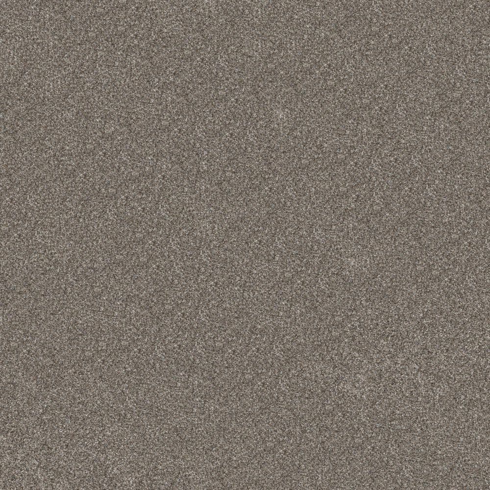 8 in. x 8 in. Texture Carpet Sample - Cuddle Cakes I - Color Fieldstone price history on PriceWatchPro