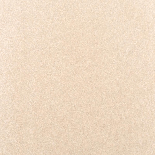 Lifeproof with Petproof Technology Waking Up I Hazy Beige 37 oz. Triexta Textured Installed Carpet