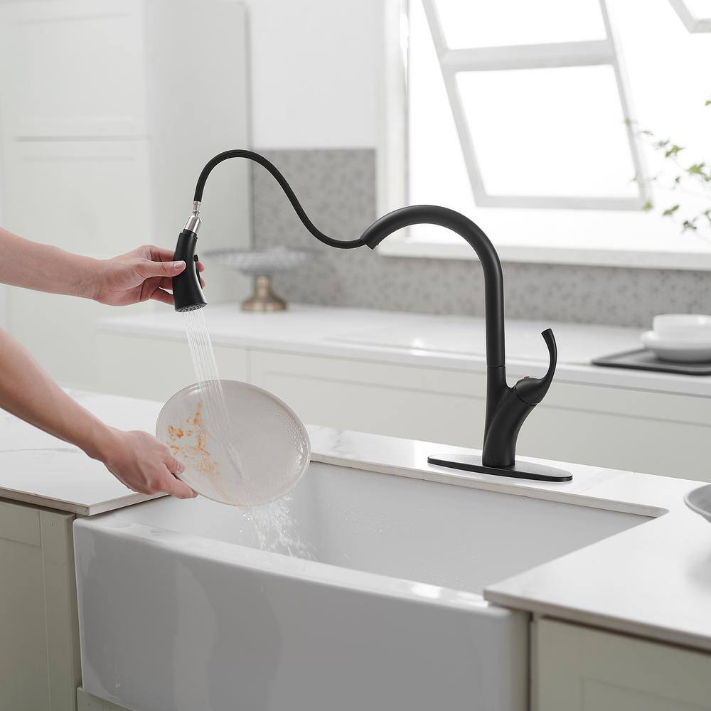 Matte Black High-Arc Single Handle Pull-Down Sprayer Kitchen Faucet