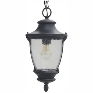 Wilkerson 1-Light Black Outdoor Chain Hung Lantern