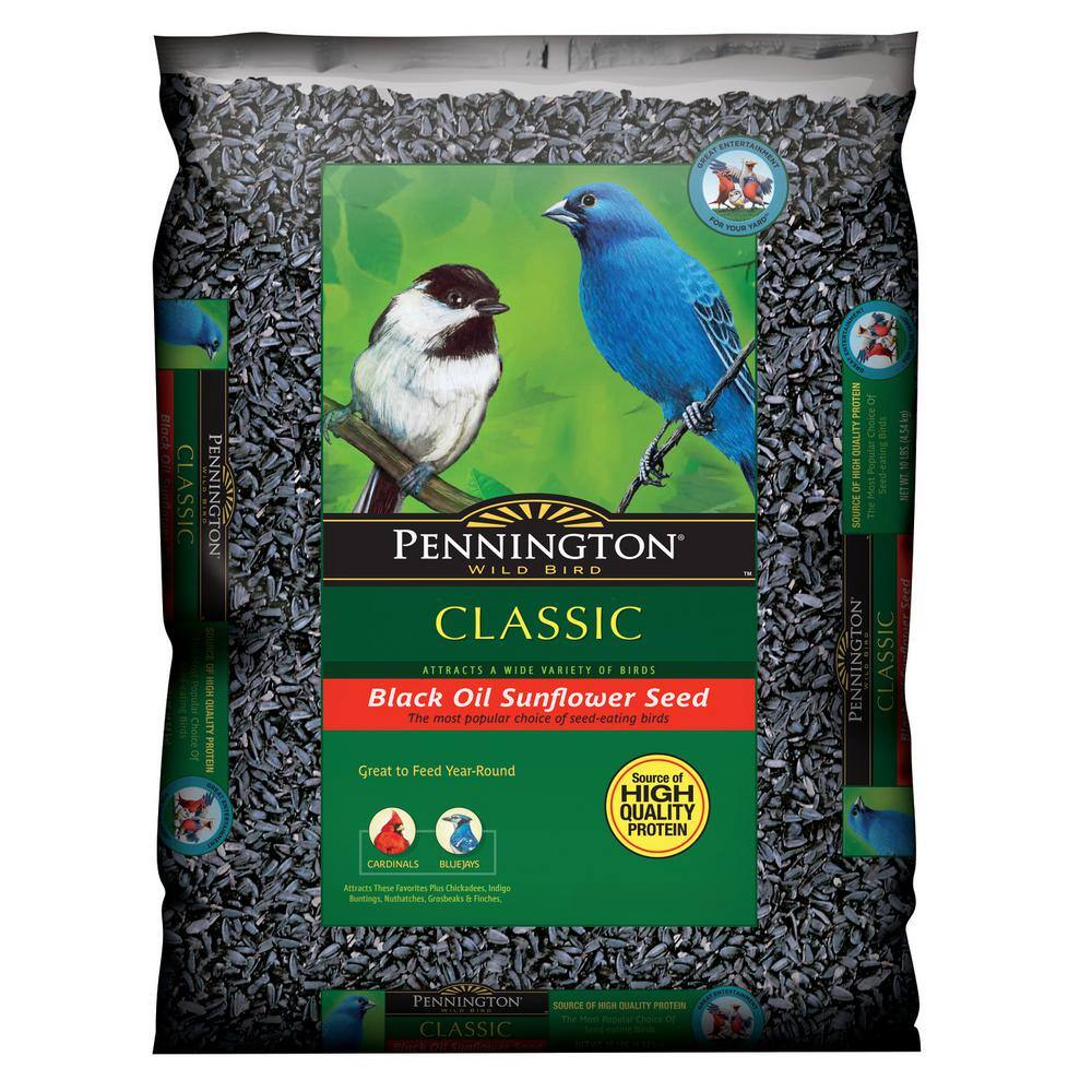 Pennington 25 lb. Black Oil Sunflower Bird Seed Food 515624 The Home Depot
