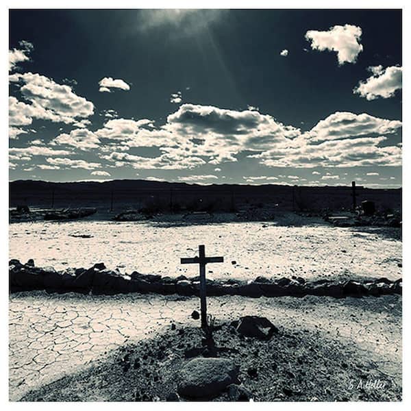 VENICE BEACH Collections Desert Graveyard by Steven A. Heller 1-Piece Unframed Canvas Drawing Print 14 in. x 14 in.