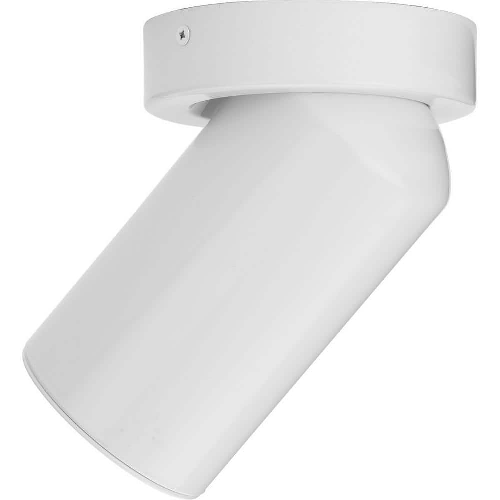 White Aluminum LED Indoor/Outdoor Flush Mount Light