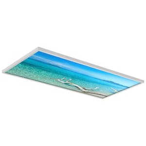 2 x 4 Fluorescent Light Filters Beach 002