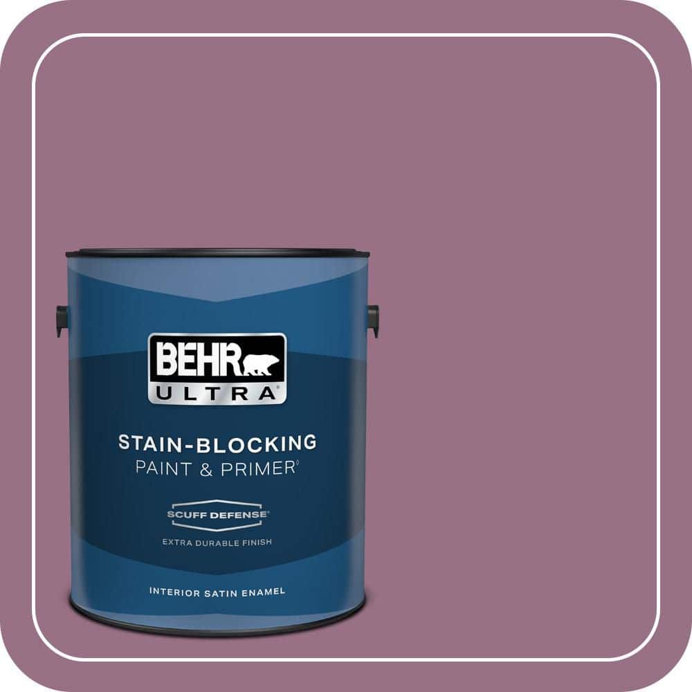 1 gal. #690D-6 Meadow Flower Extra Durable Satin Enamel Interior Paint & Primer price history on PriceWatchPro