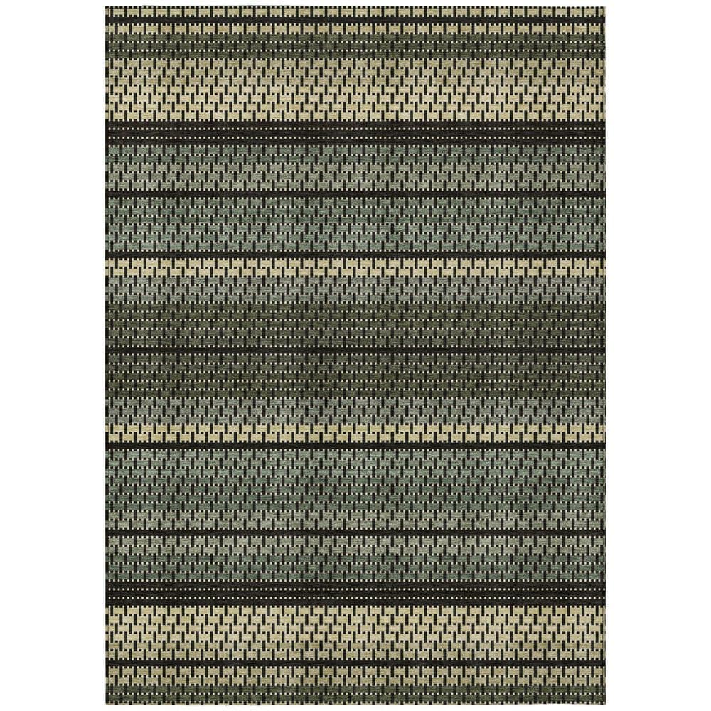 Chantille Machine Washable Indoor/Outdoor Abstract ACN2427 Cactus 8 ft. x 10 ft. Area Rug price history on PriceWatchPro