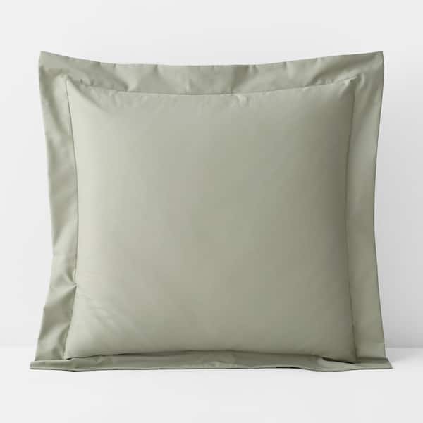 The Company Store Company Cotton Wrinkle-Free Laurel Green Sateen Euro Sham